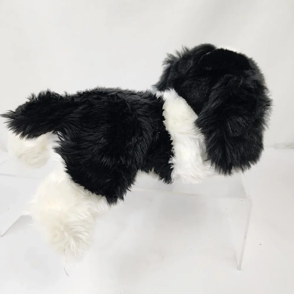 Aurora cavalier king